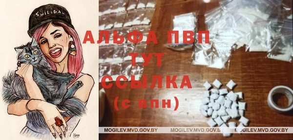 сатива Алексеевка