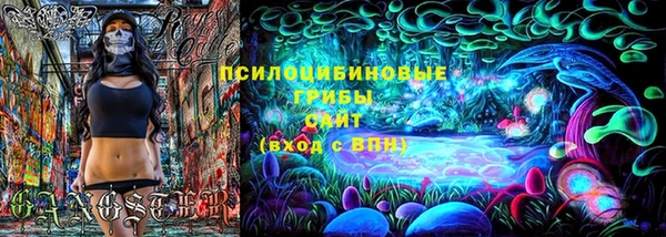 сатива Алексеевка