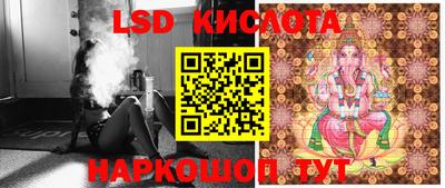 эйфоретик Малгобек